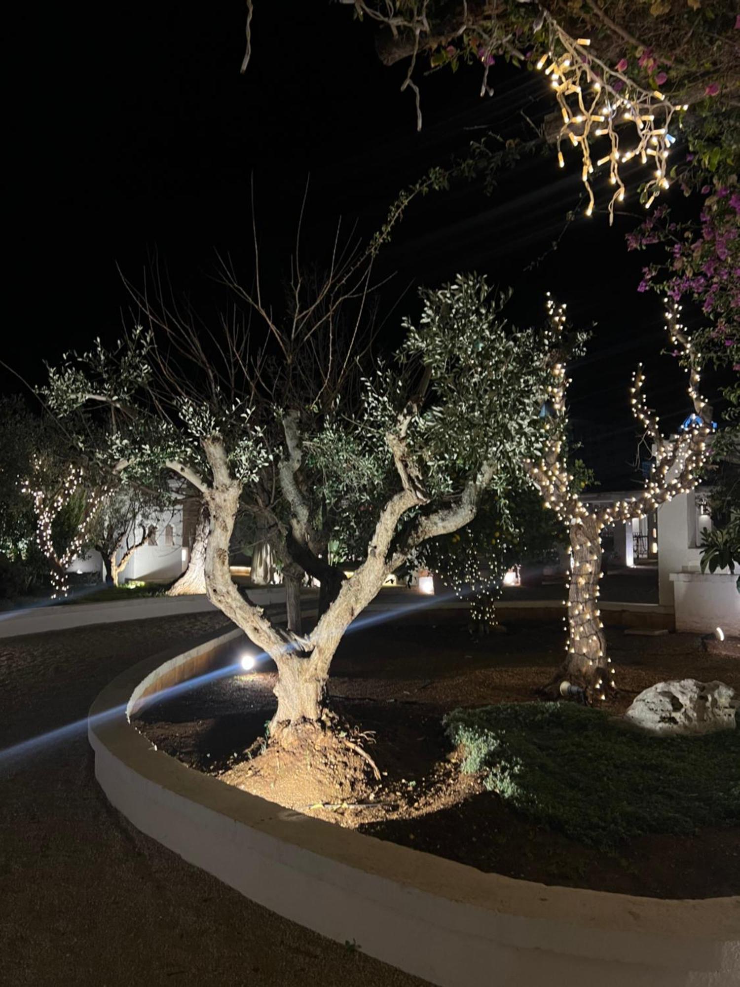 Masseriola Antiche Fogge By Apulia Hospitality 法萨诺 外观 照片